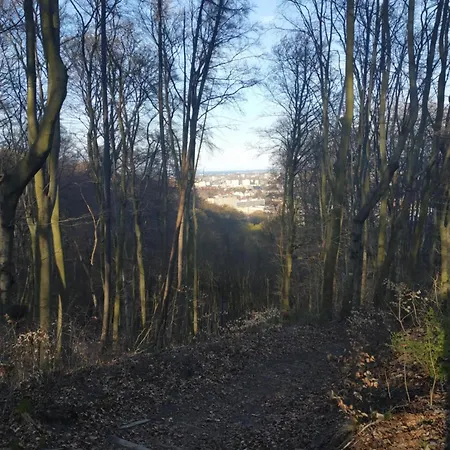 Przyplywy - Typu W Zielonej Dzielnicy Gdanska Apartman *