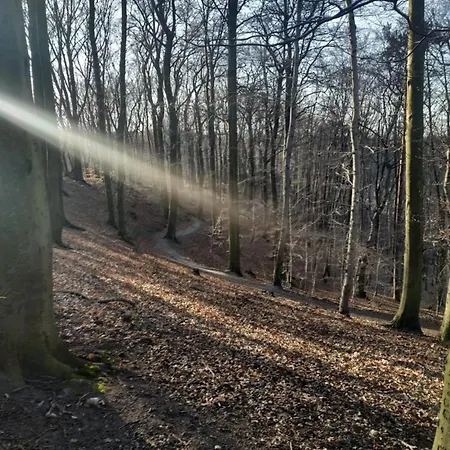 Przyplywy - Typu W Zielonej Dzielnicy Gdanska Apartamento *