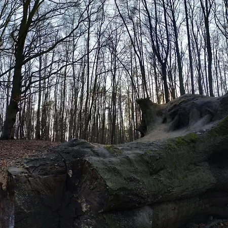 Przyplywy - Typu W Zielonej Dzielnicy Gdanska Gdańsk