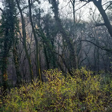 公寓 Przyplywy - Typu W Zielonej Dzielnicy Gdanska 格但斯克