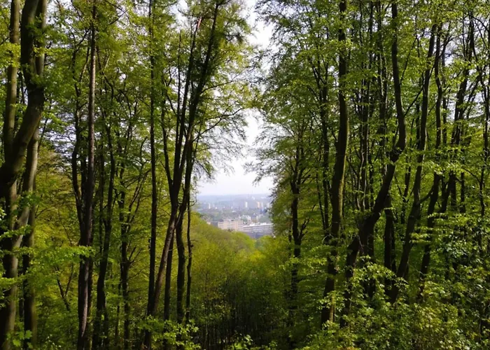 Appartement Przyplywy - Typu W Zielonej Dzielnicy Gdanska Gdańsk