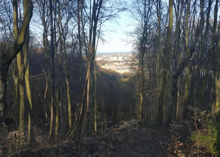 Przyplywy - Typu W Zielonej Dzielnicy Gdanska Appartement *