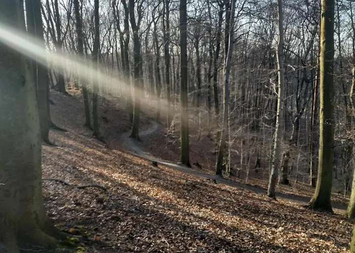 Przyplywy - Typu W Zielonej Dzielnicy Gdanska Appartement *