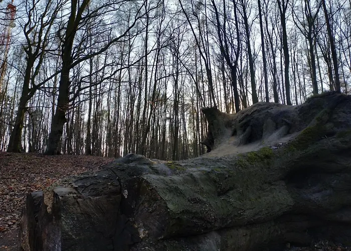 Przyplywy - Typu W Zielonej Dzielnicy Gdanska Gdańsk