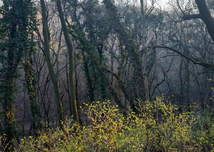 Appartement Przyplywy - Typu W Zielonej Dzielnicy Gdanska Gdańsk