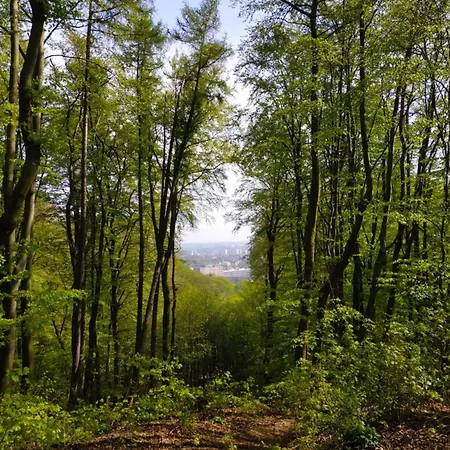 Appartement Przyplywy - Typu W Zielonej Dzielnicy Gdanska Gdańsk